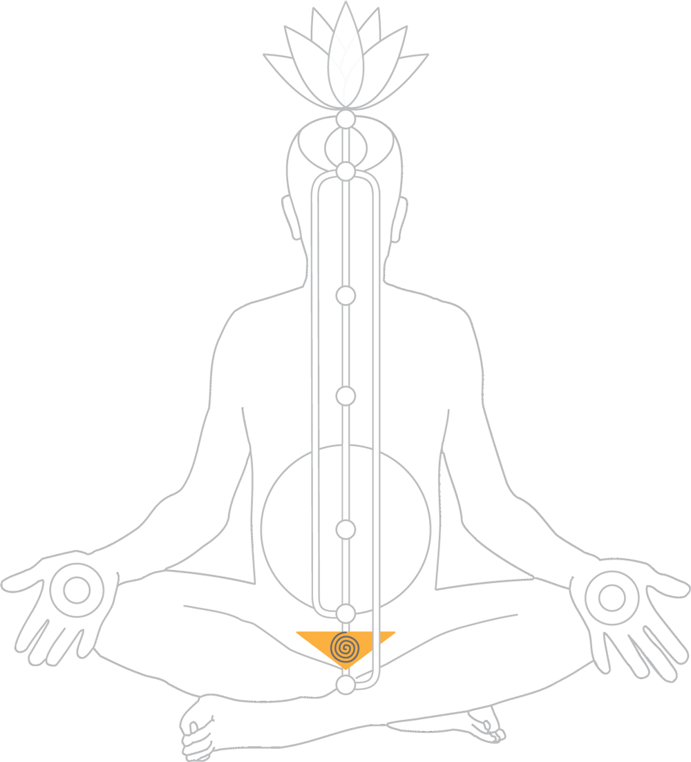 Das Kundalini und Chakra System